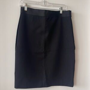 Everlane Black Stretch Pencil Skirt
